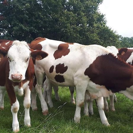 Gite A La Ferme, Avec Animaux, Fromages Et Nature Neuville-les-Decize Εξωτερικό φωτογραφία