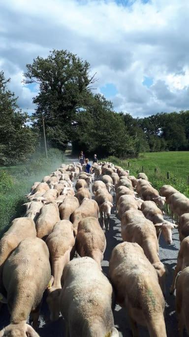 Gite A La Ferme, Avec Animaux, Fromages Et Nature Neuville-les-Decize Εξωτερικό φωτογραφία